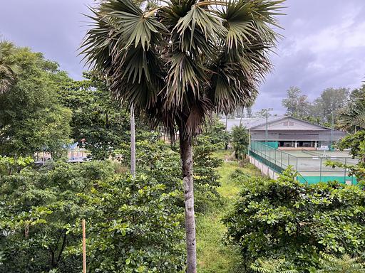 LBS 1403 - รูปภาพ 14