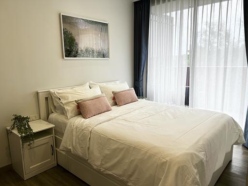 LSP 1523 - 照片 18