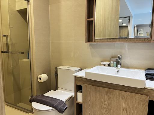 LSP 2101 - Фото 3