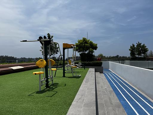 LSP 2203 - 照片 15