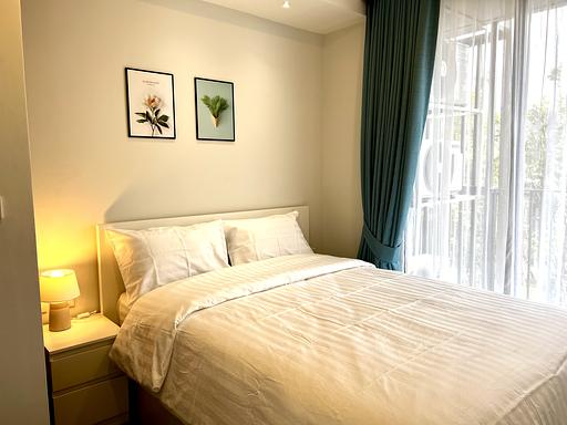 LSP 2217 - รูปภาพ 2