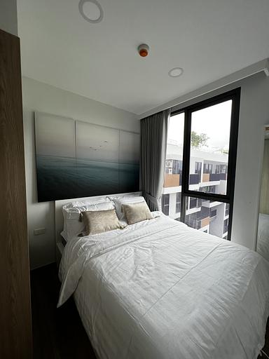 LSP 2707 - 照片 11