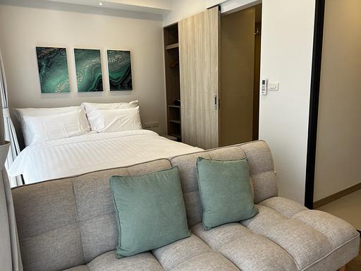 LSP 1705 - 照片 13