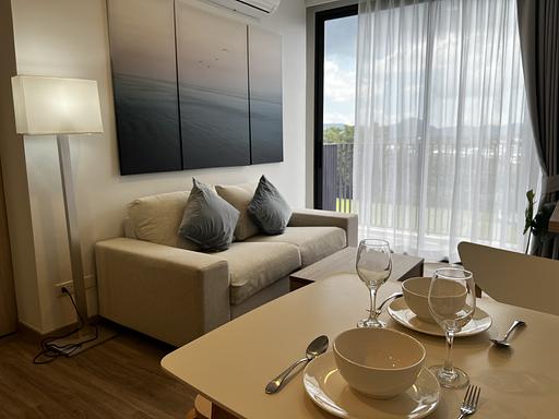 LSP 2704 - 照片 13