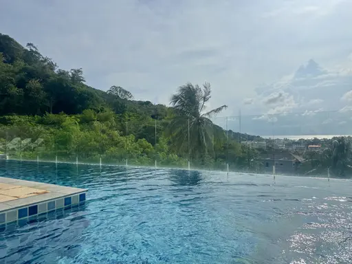 Santosa 1