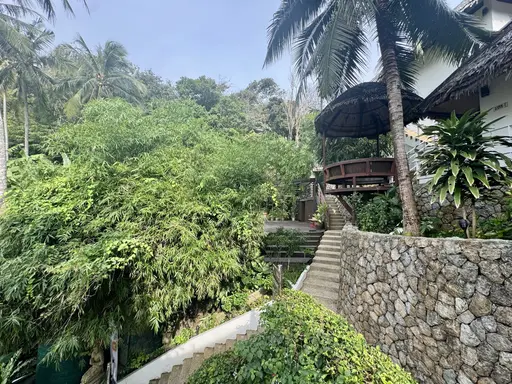 Santosa 4