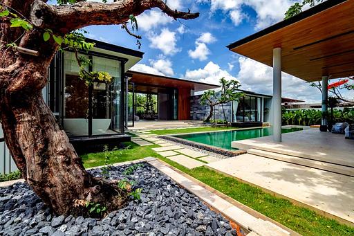 Botanica Forestique 2